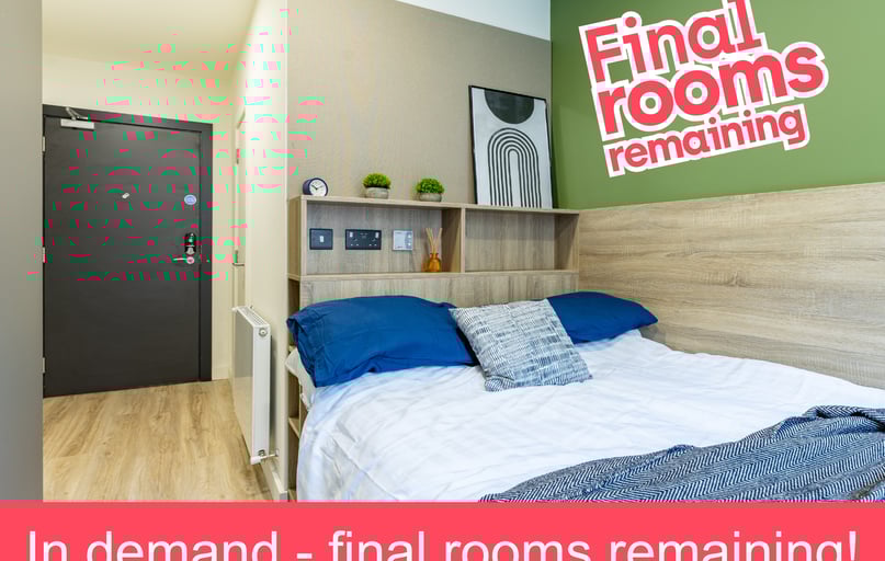 Classic En Suite, Ardee Point, Newmarket, Near University, Dublin - Image 1